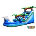 15FT-DOLPHIN-SPLASH1.jpg