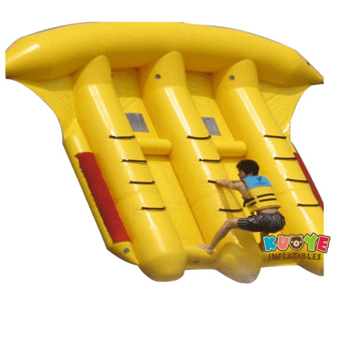 WG1864 Fly Fish Ride Water Games for sale