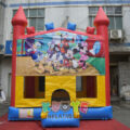 BH073 (7)