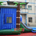 CB018 (22)