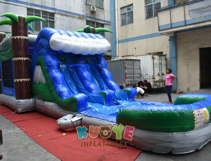 CB076 Tropical Wave Wet Dry Combo Combo Units for sale 2