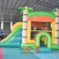CB091 (5)