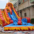 IMG_9795.jpg