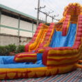 IMG_9800.jpg