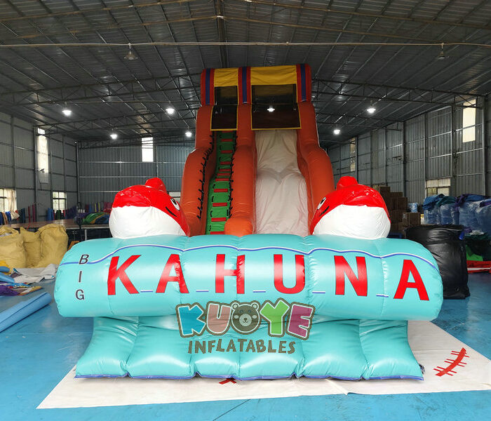KYSS23 17ft Big Kahuna Water Slide Water Slides for sale 2