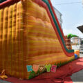 WS010 (6)