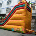 WS010 (9)