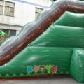 WS015 (11)