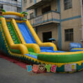 WS034 (8)