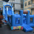 WS050 (13)