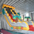 WS065 (11)