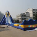 hippo-slide03-1.jpg
