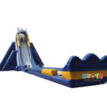 hippo-slide03.jpg