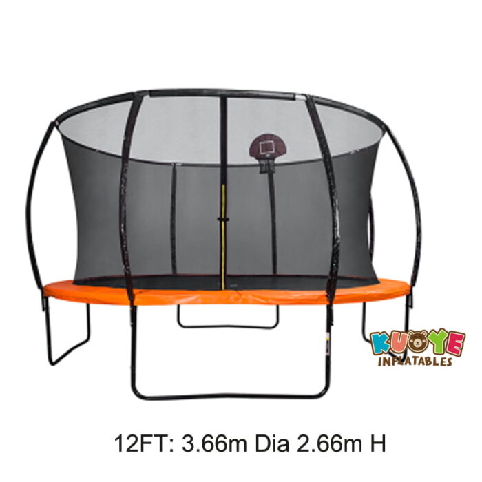T010 12ft Trampoline with Safety Netting and Ladder Trampolines for sale 2