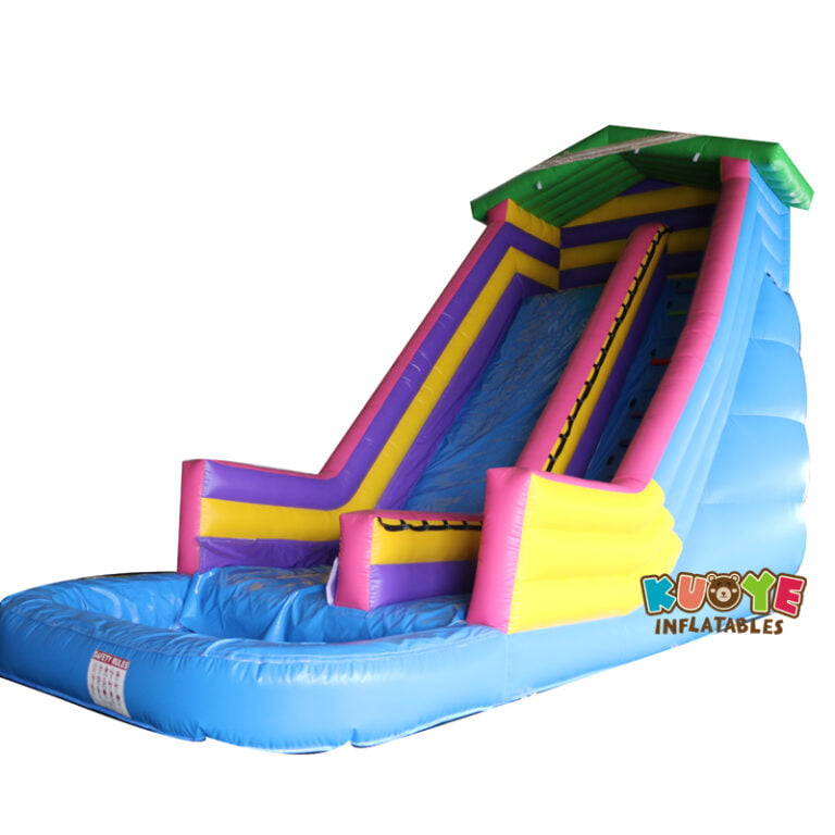 WS004 House Inflatable Water Slide Water Slides for sale 3