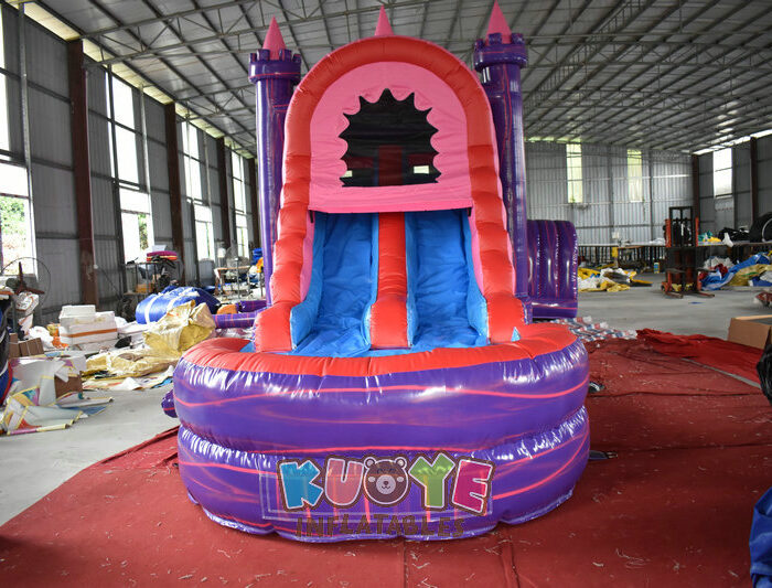 CB160 5 in 1 Princess Combo Dual Lane Wet/dry Combo Units for sale 2
