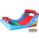 WS148 Cannon Water Slide