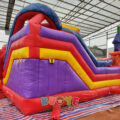 MVIMG_20230419_121139
