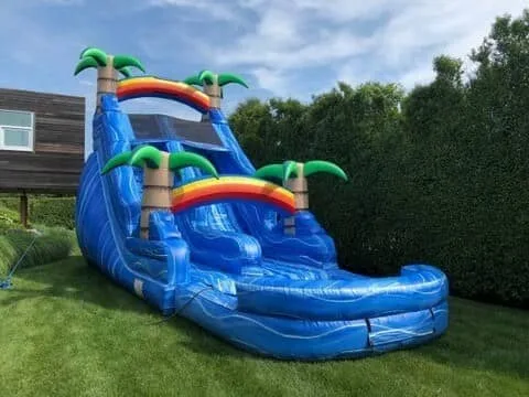 cat slides