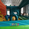 IMG_20220617_162753