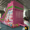 SL060 (3)