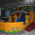 WS241 (10)