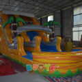 WS241 (13)