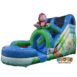 WS205 15ft Monkey Water slide