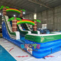 WS244 (24)