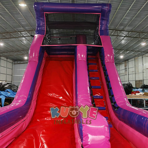 WS246 (11) WS246 (11)