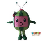 R010 CoComelon Costume /Melon Costume