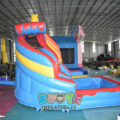 WS303 (6)