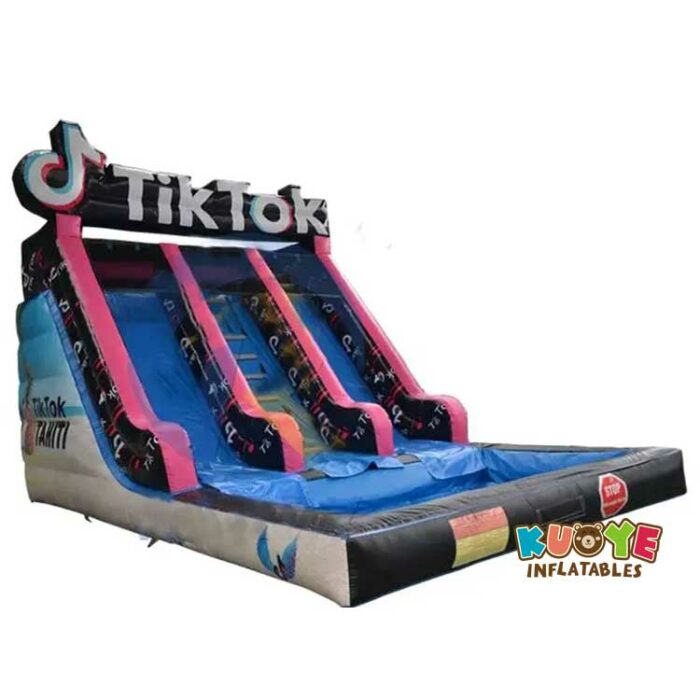 WS304 16FT TikTok Inflatable Water Slide with Dual Lane Water Slides for sale