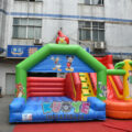 DSC_0744 (2)