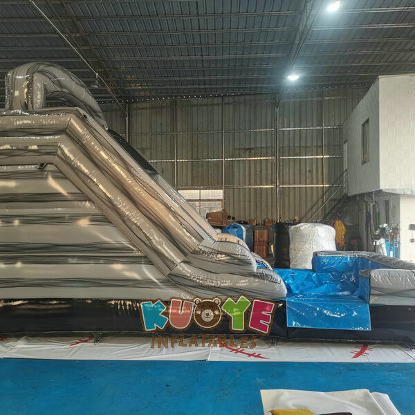WS311 (11) WS311 (11)