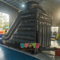 WS311 (24)