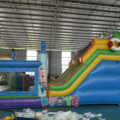 SL090 (6)