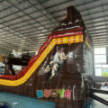 WS313 (10)