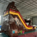 WS313 (13)