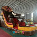 WS313 (15)