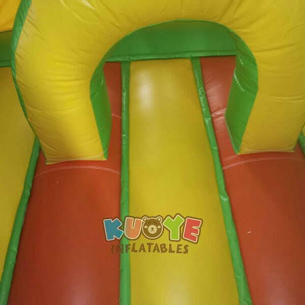 CB379 Bouncy Castle Farm (10) CB379 Bouncy Castle Farm (10)