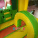 CB379 Bouncy Castle Farm (12)