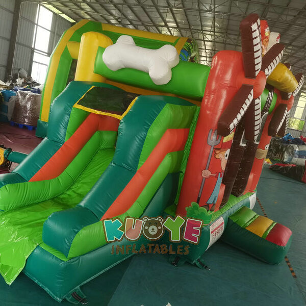 CB379 Bouncy Castle Farm (18) CB379 Bouncy Castle Farm (18)
