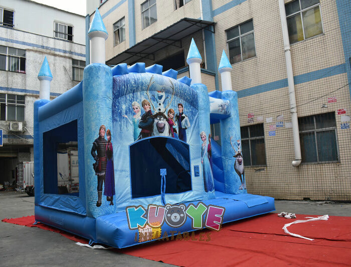 CB476 Frozen Ice Kingdom Combo Units for sale 2
