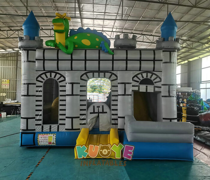 CB477 Dragon Kingdom Combo Units for sale 2