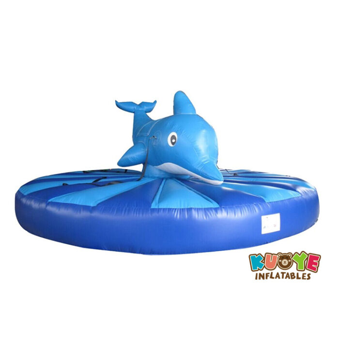 WG50 King of the Mountain Slide Water Games for sale 2