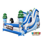 SL172 Standard Slide Winter