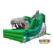 SL167 Standard Slide Dino