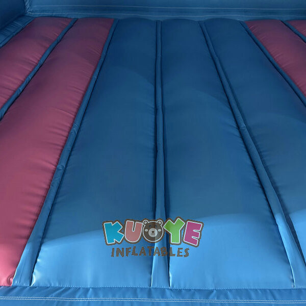 CB259 (2) Blue And Pink Bouncy Castle