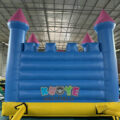 Blue And Pink Bouncy Castle